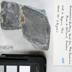 Batteraspis Pageau, 1969