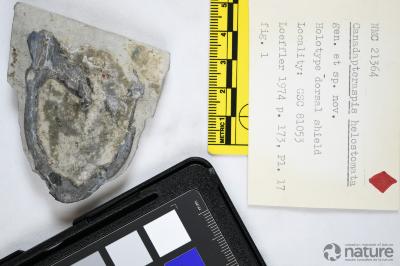 Canadapteraspis Dineley & Loeffler, 1976