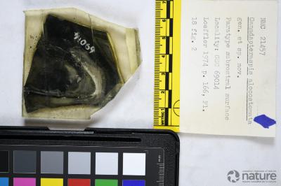 Canadapteraspis Dineley & Loeffler, 1976