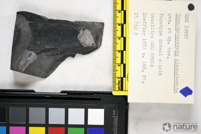 Canadapteraspis Dineley & Loeffler, 1976