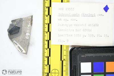 Nahanniaspis Dineley & Loeffler, 1976