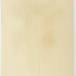 Arctostaphylos virgata