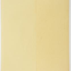 Hieracium intercedens