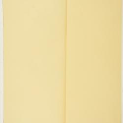 Paronychia lindheimeri