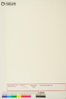 Pediomelum cyphocalyx