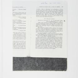 Equisetum sylvaticum