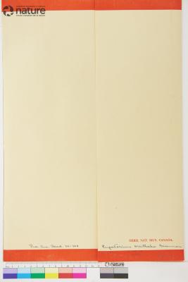 Ageratina oreithales