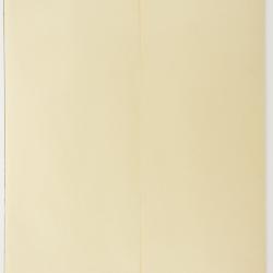 Pseudognaphalium macounii