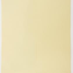 Baptisia arachnifera