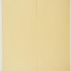 Senecio salsuginosus