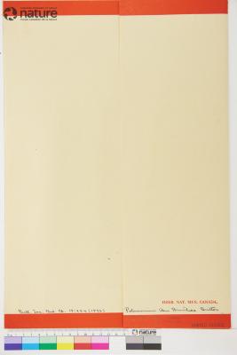 Polemonium vanbruntiae