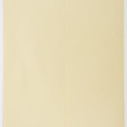 Polygonum polygaloides