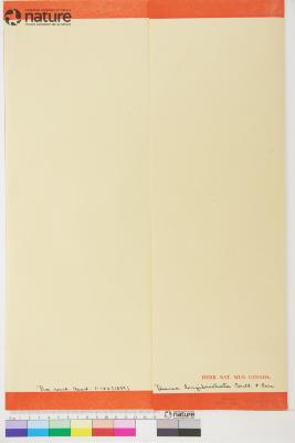 Deanea J.M.Coult. & Rose