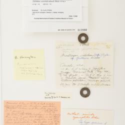 Fuscopannaria frullaniae