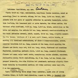 Podistera yukonensis