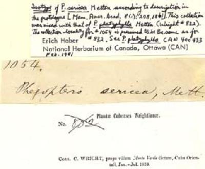 Phegopteris (C.Presl) F??e