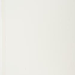 Deparia acrostichoides