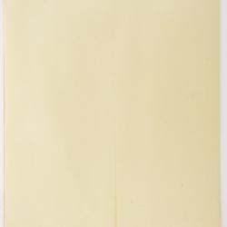 Pseudognaphalium jaliscense