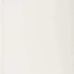 Erigeron lonchophyllus