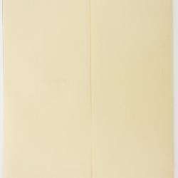 Erigeron alpiniformis