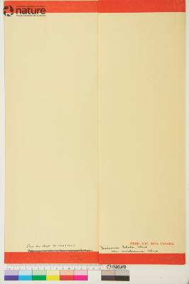 Dioscorea Plum. ex L.