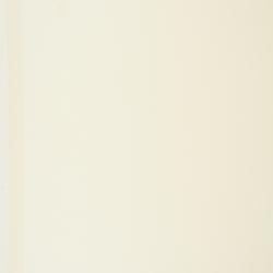 Thalictrum pubescens