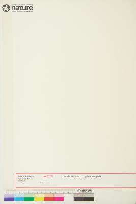 Lychnis Tourn. ex L.