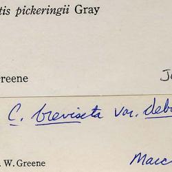 Calamagrostis Adans.