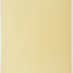 Hieracium subobatrescens