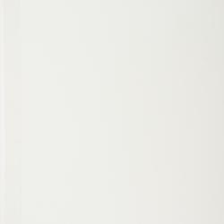 Potamogeton haynesii