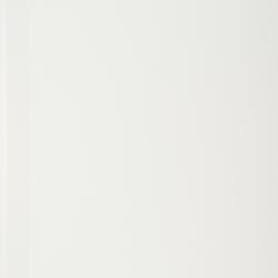 Sphaeropteris insignis