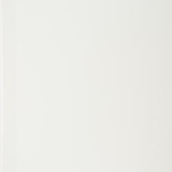 Steiropteris wrightii