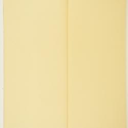 Chaetopappa bellidifolia