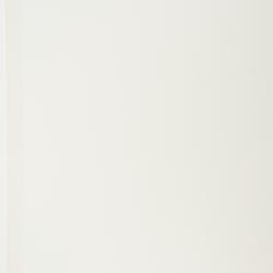 Equisetum scirpoides