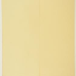 Rhynchosida physocalyx