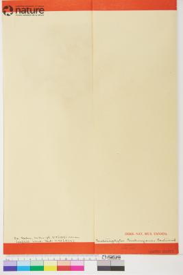 Arctostaphylos Adans.