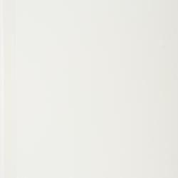 Steiropteris lonchodes