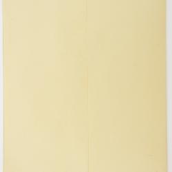 Lepechiniella lasiocarpa