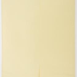 Thelypodium integrifolium