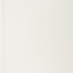 Phemeranthus aurantiacus