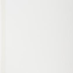 Rhynchospora angosturensis