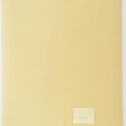 Angelica atropurpurea