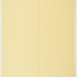 Sisyrinchium pallidum