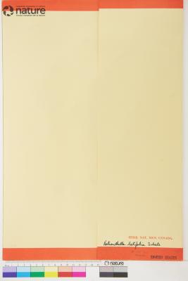 Helianthella Torr. & A.Gray