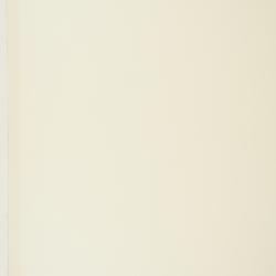 Anemonastrum narcissiflorum