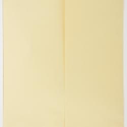 Eriogonum androsaceum