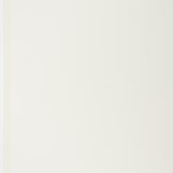 Acleisanthes longiflora