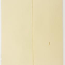 Prionosciadium S.Watson