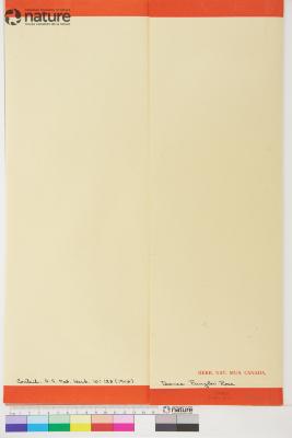 Deanea J.M.Coult. & Rose