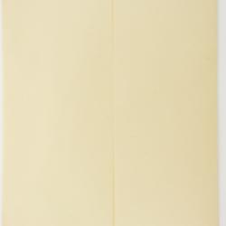 Erigeron brachycephalus